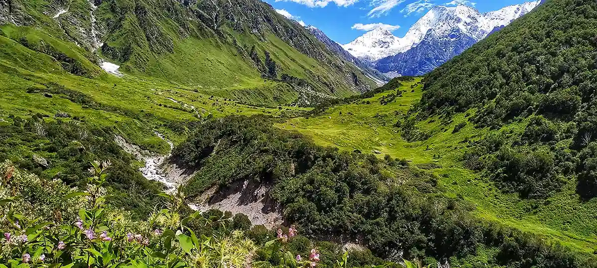 Valley of Flowers Trek   